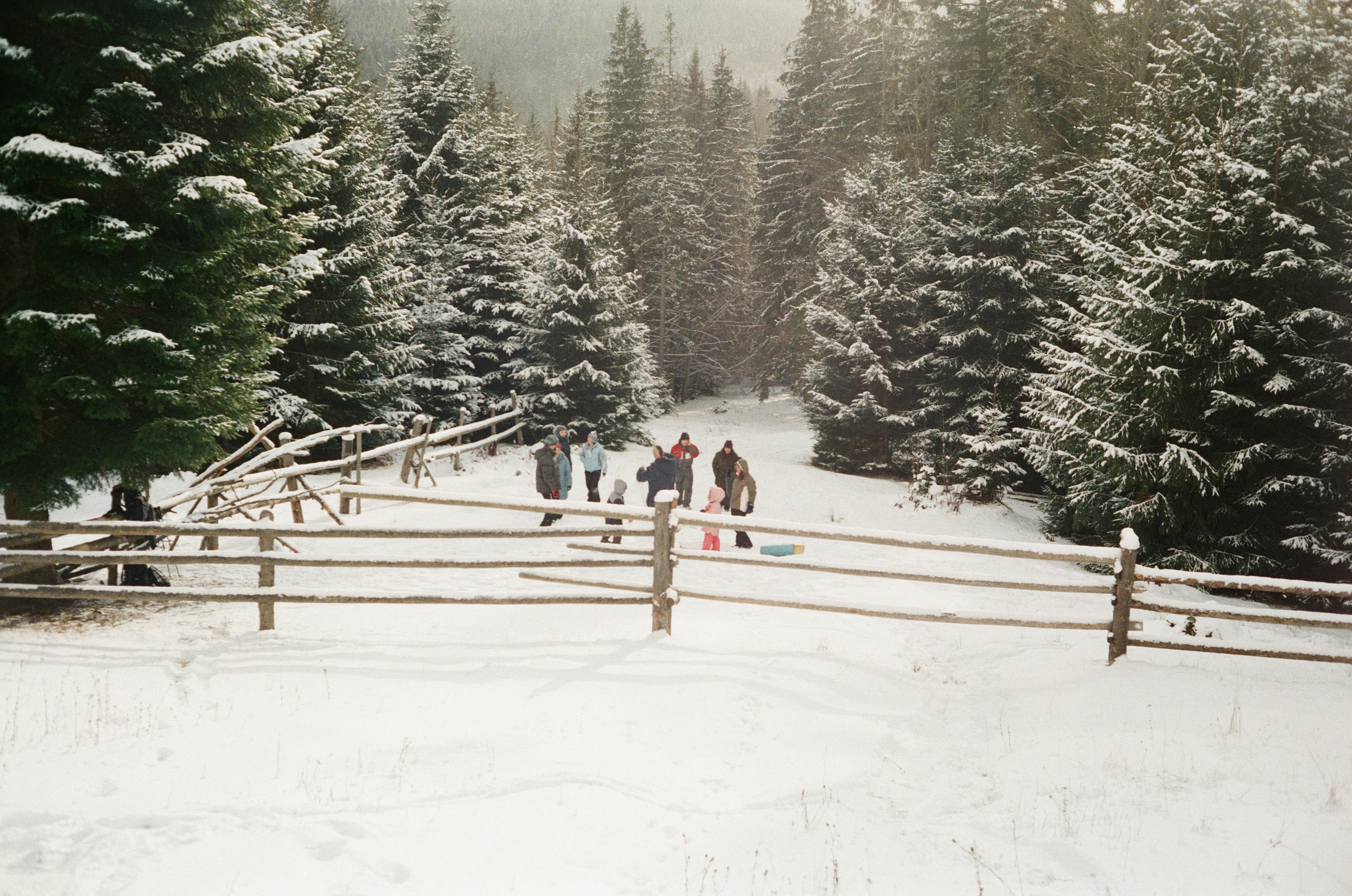 people on snow covered field during daytime